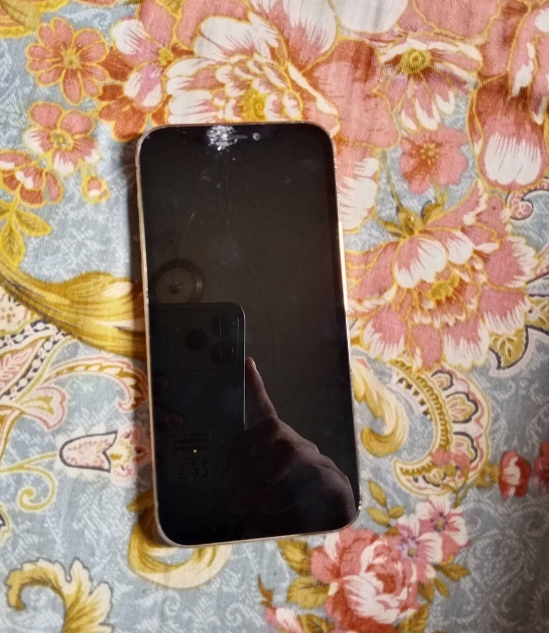 iPhone 12pro 128gb(display broken)