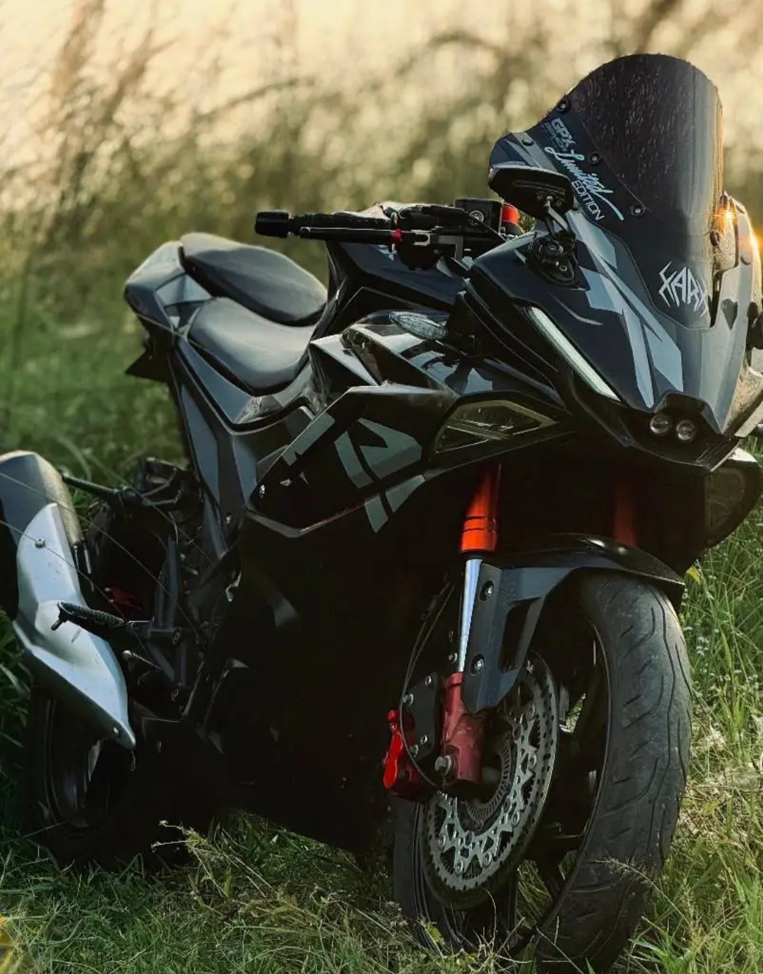 Model : GPX Demon 165 RR