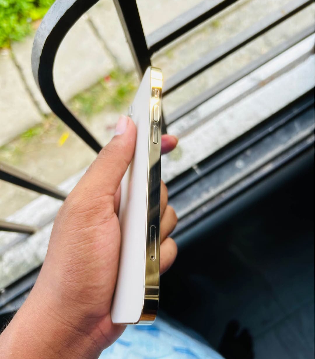 iPhone 12 Pro