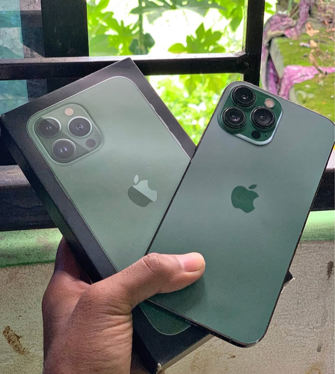 iPhone 13 pro max 256gb