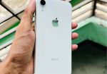 I phone Xr