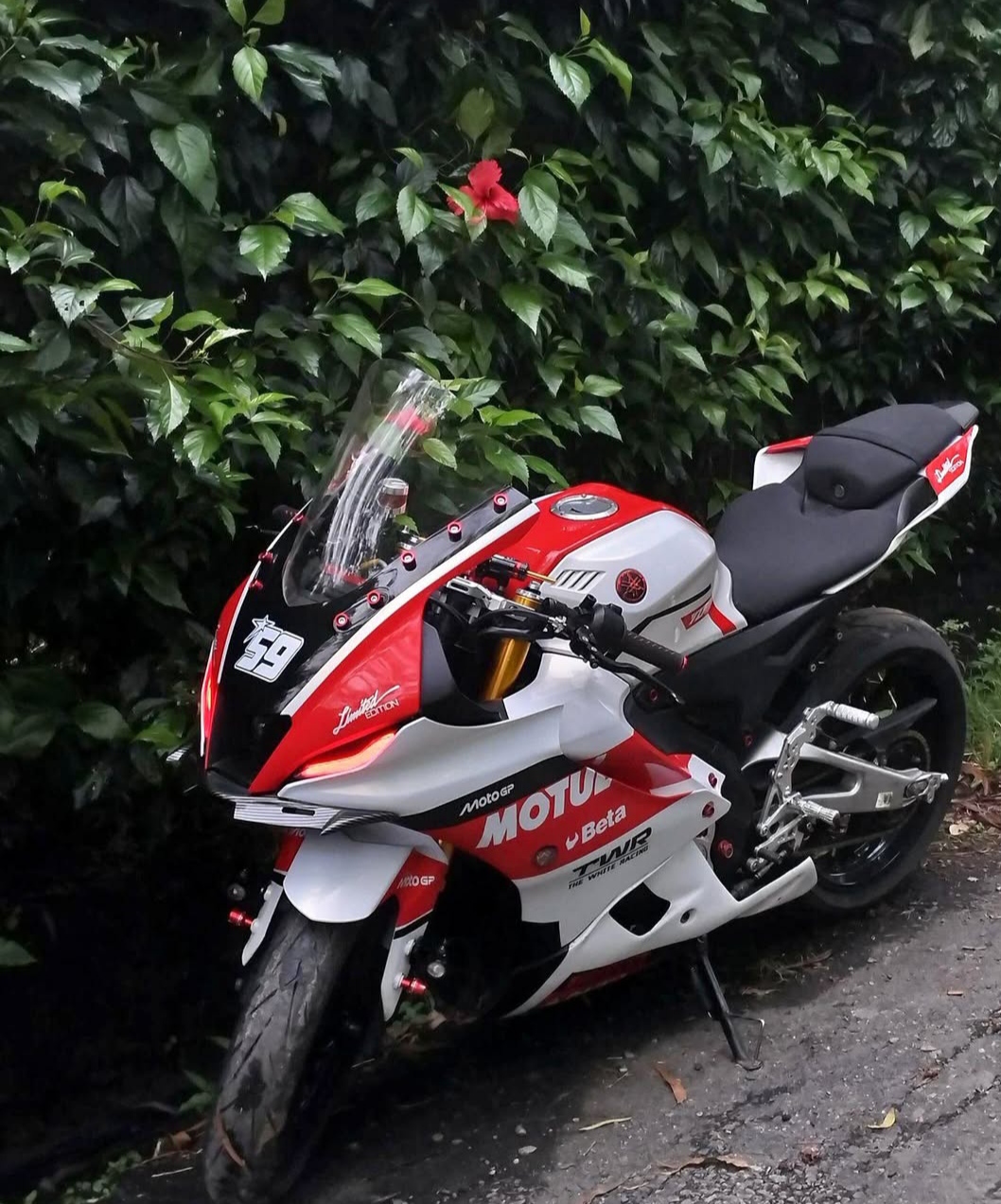 R15M ABS WORLD GP THAI
