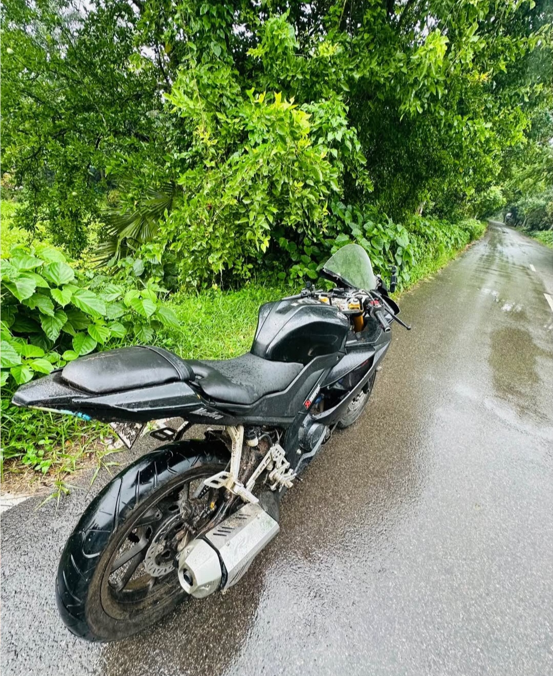 V3 Indo Black 2023